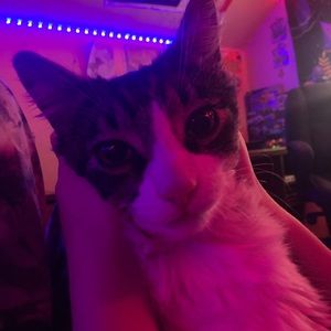 Meet your Posher, Izzy